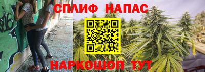 прущие грибы Ликино-Дулёво