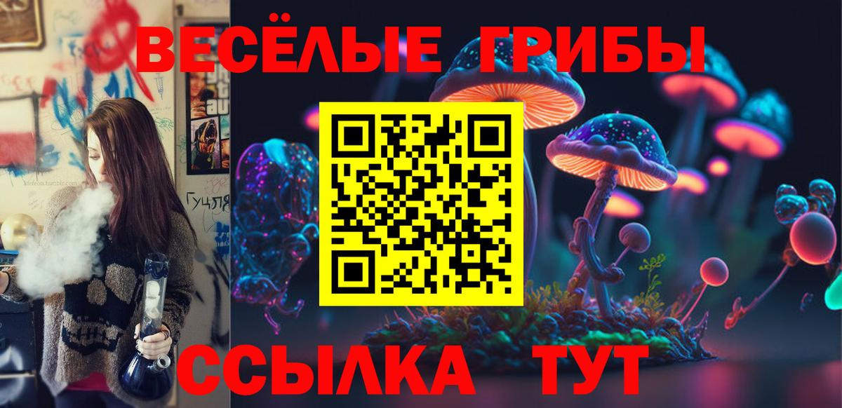 Шебекино  Псилоцибиновые грибы Magic Shrooms  Вход с VPN 