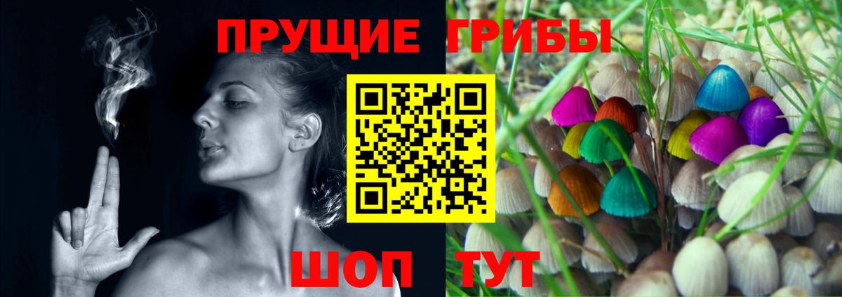 Галлюциногенные грибы GOLDEN TEACHER Шебекино
